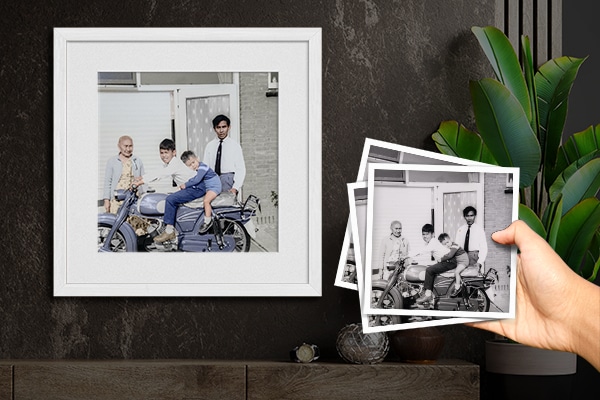 Frame plant en hand